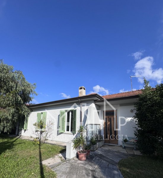 Immagine 1