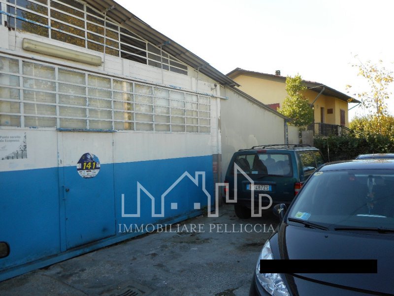 Immagine 3