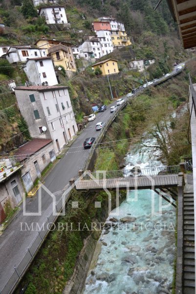 Immagine 12