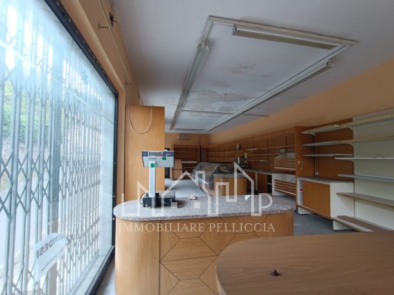 Immagine 3