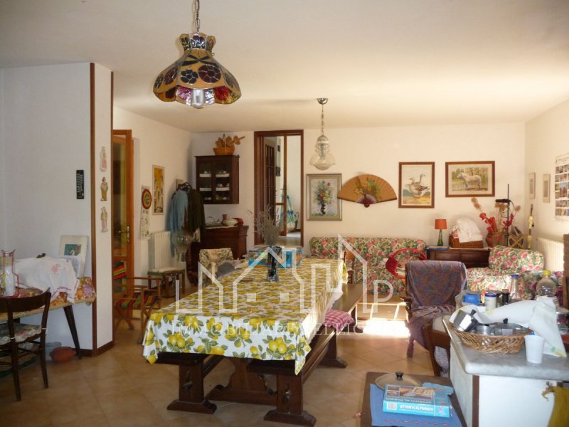 Immagine 6