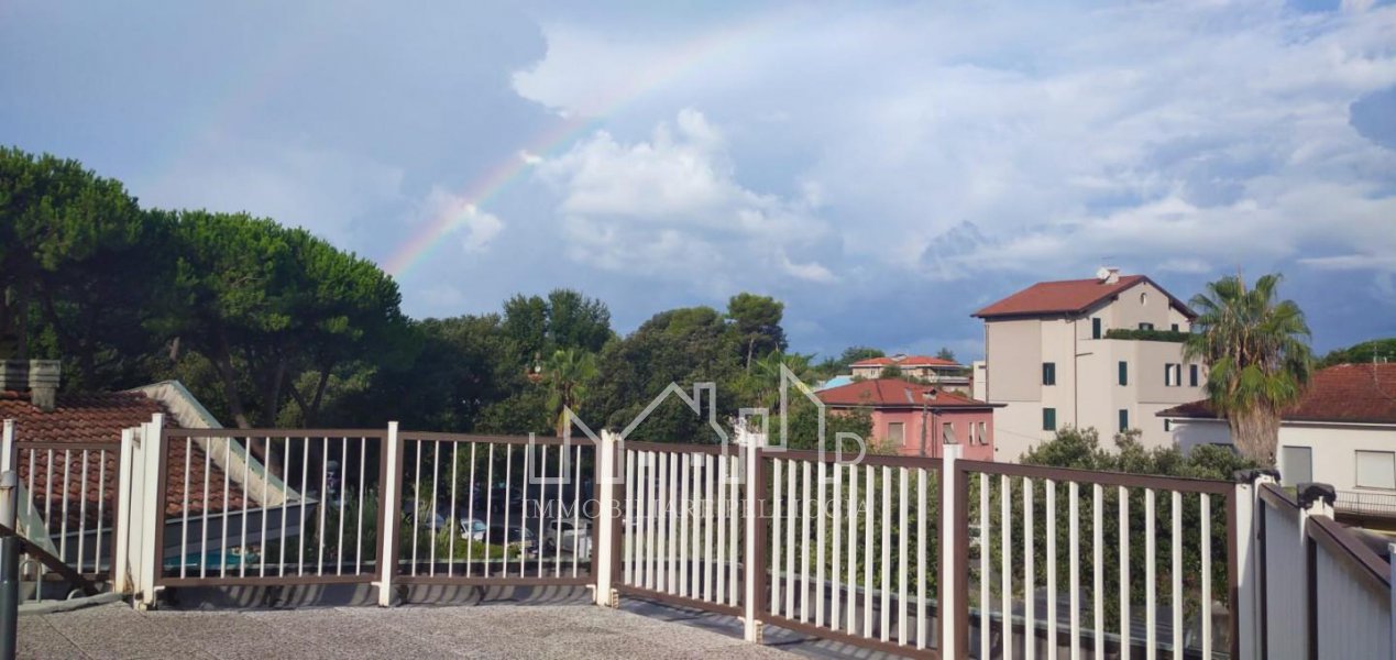 Immagine 13